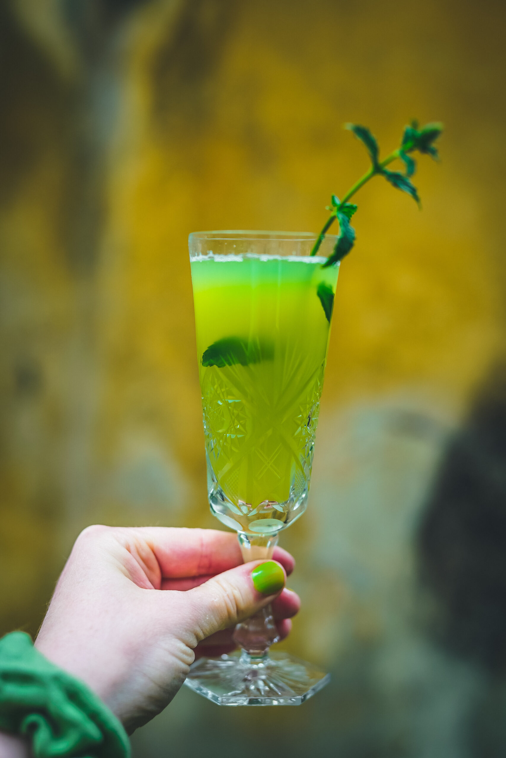 okurková mimosa