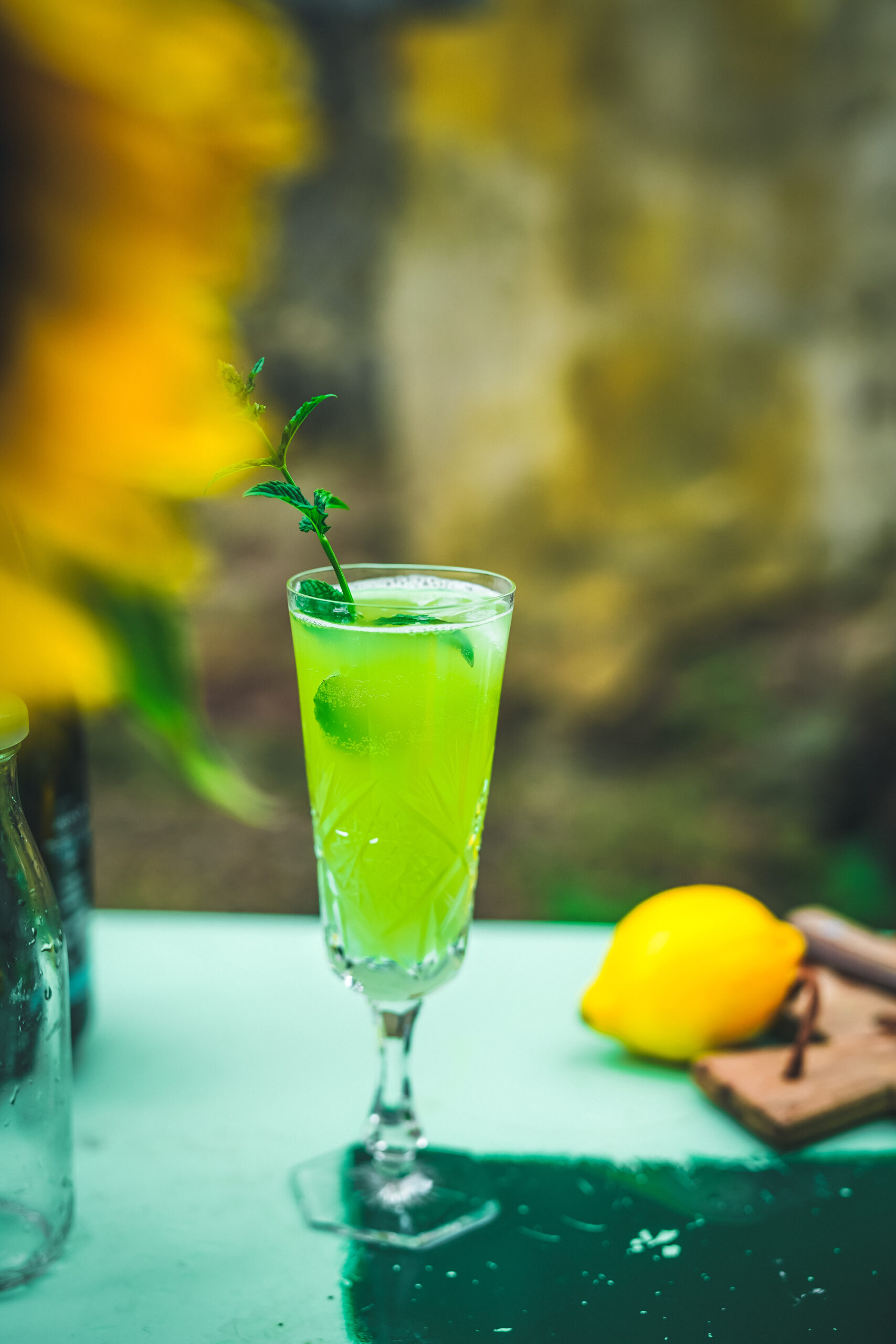 okurková mimosa